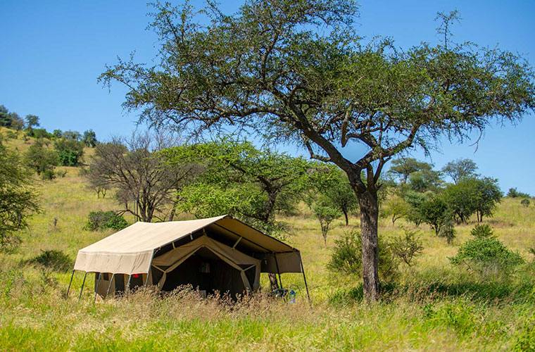 Kati Kati Tented Camp