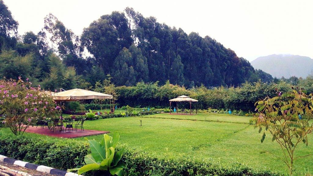 Le Bambou Gorilla Lodge temp