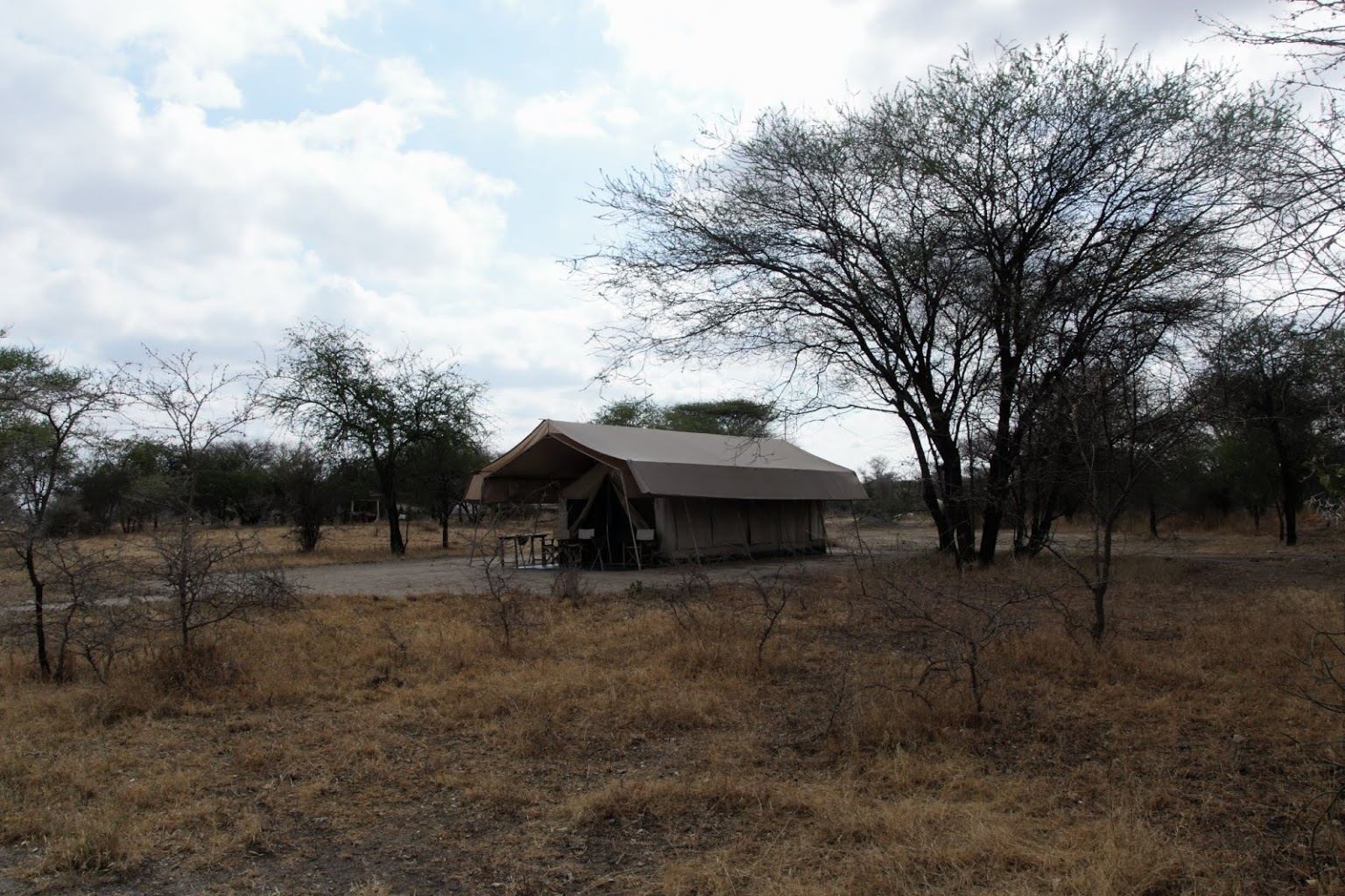 Whistling Thorn Tented Camp