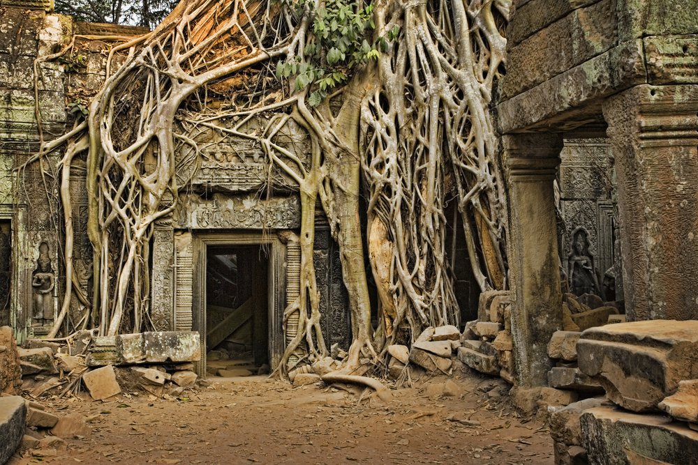 Angkor Close Up