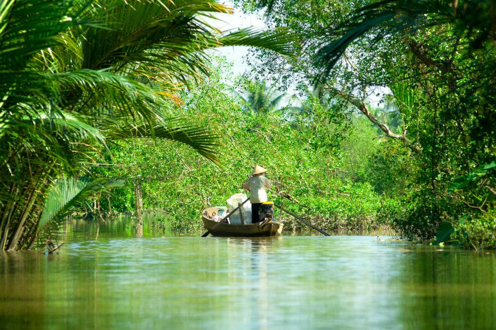 Bamboo Boat