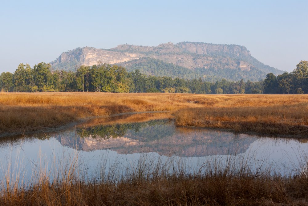 Bandhavgarh