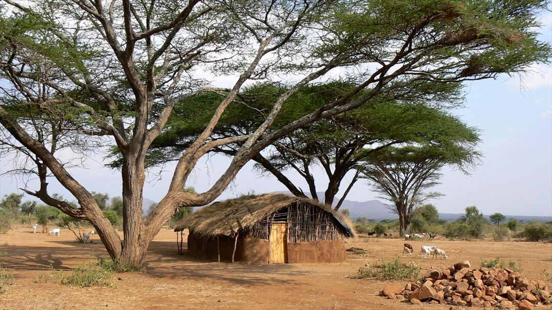hadzabe tribe hut