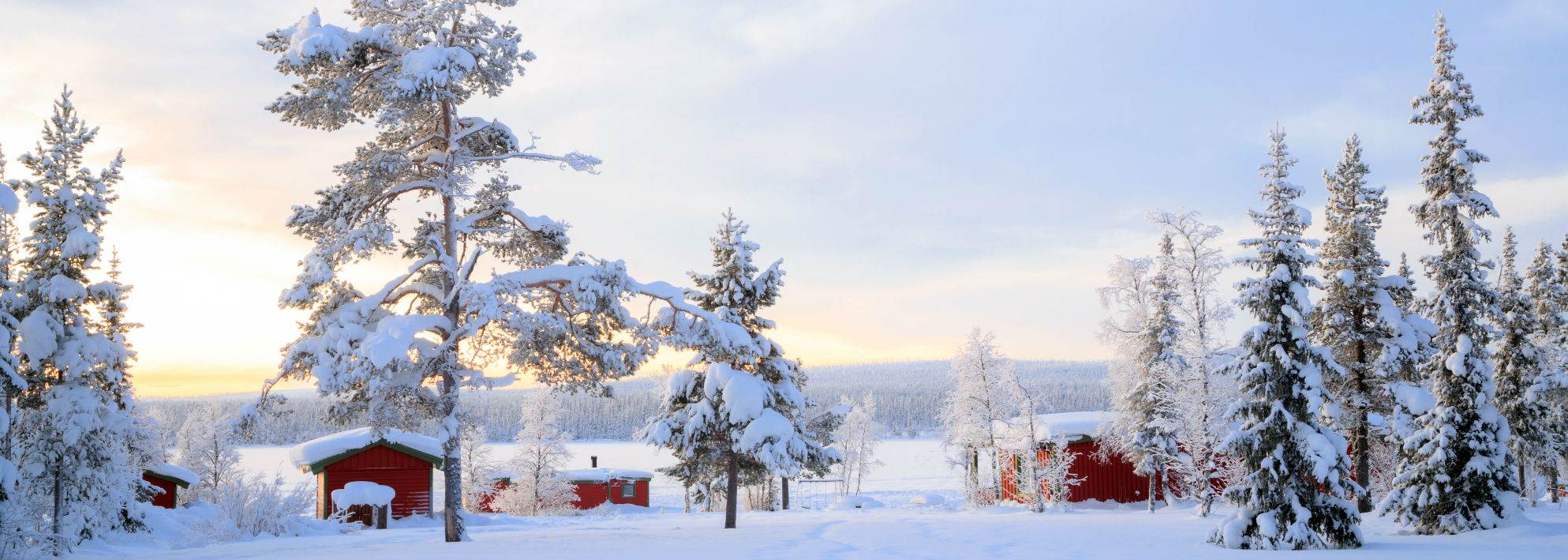 WinTer2