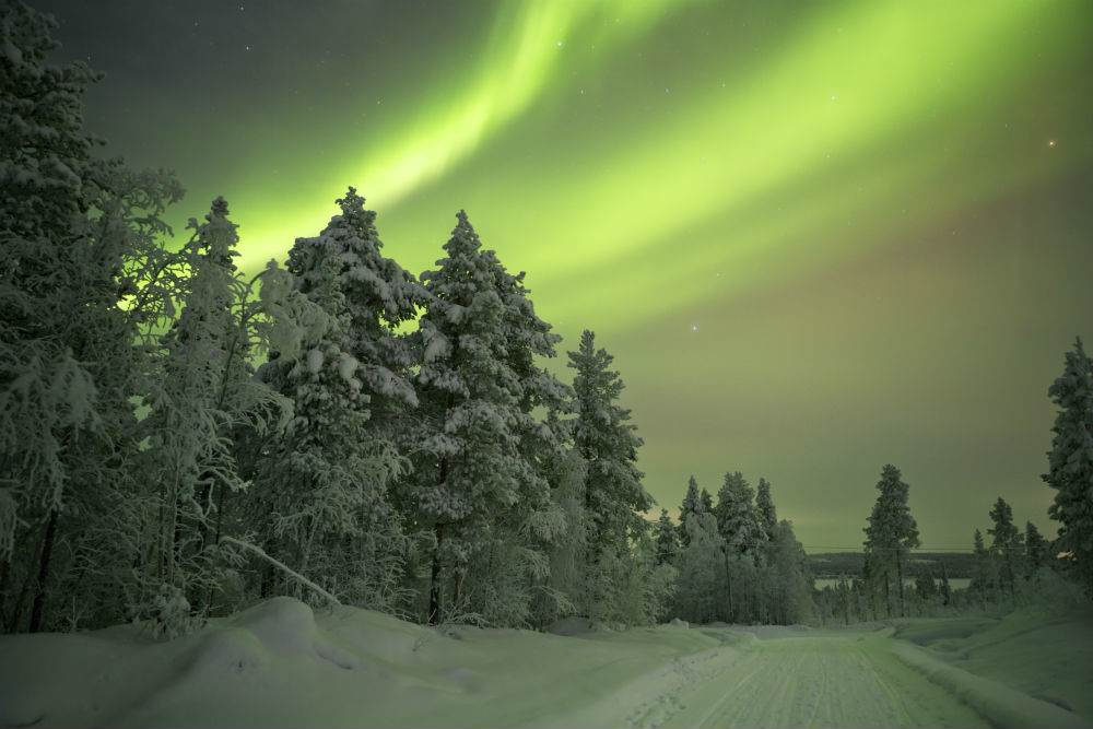 Icy Lights
