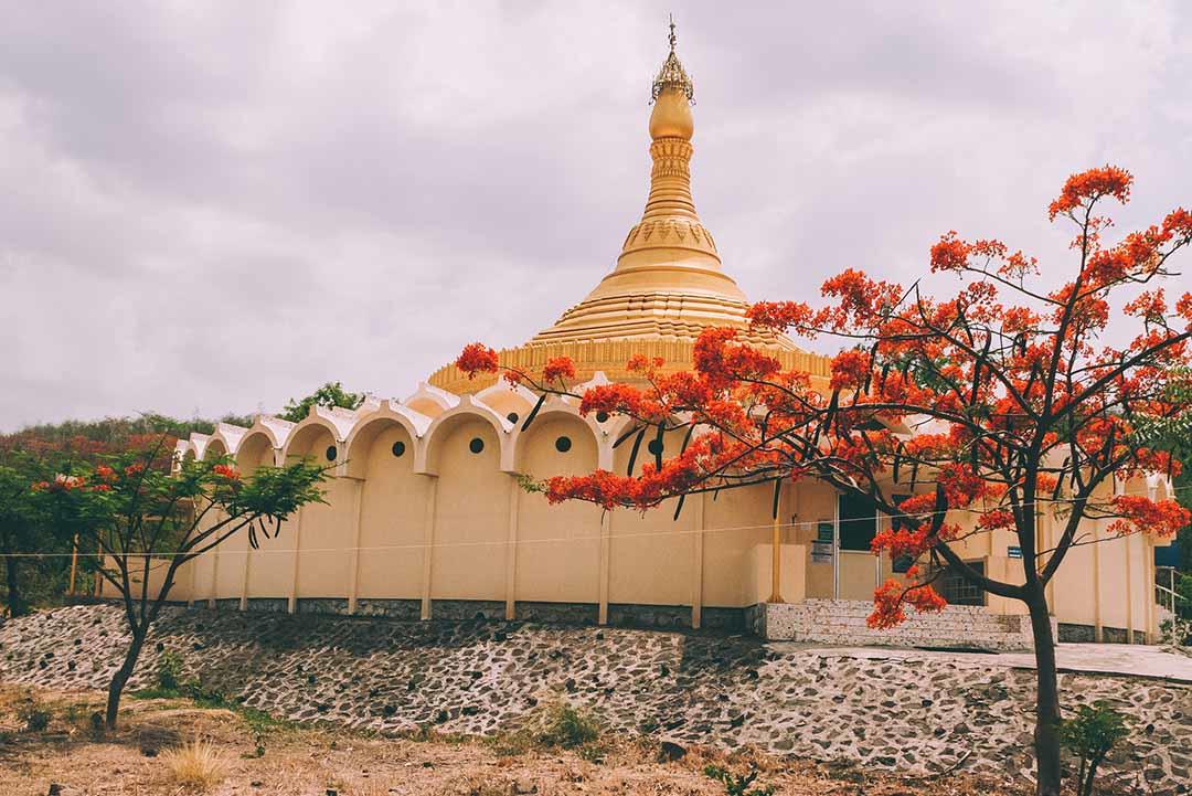 BuildingRedTree