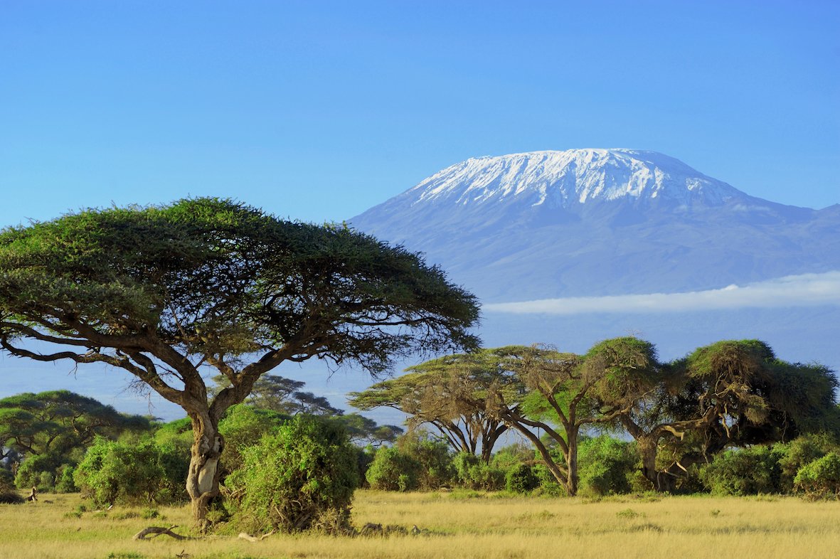 Kili from Moshi
