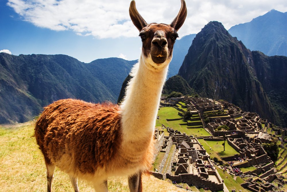 Machu Picchu