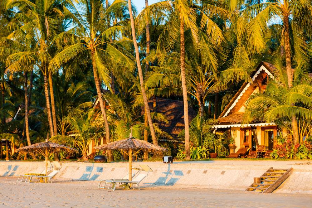 Ngapali Trees