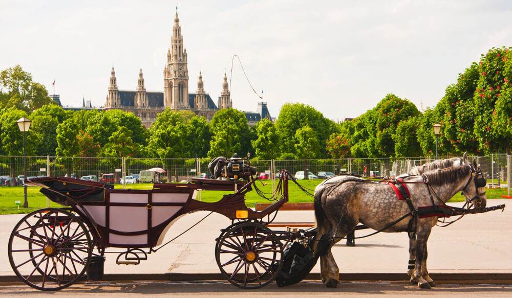 Vienna2