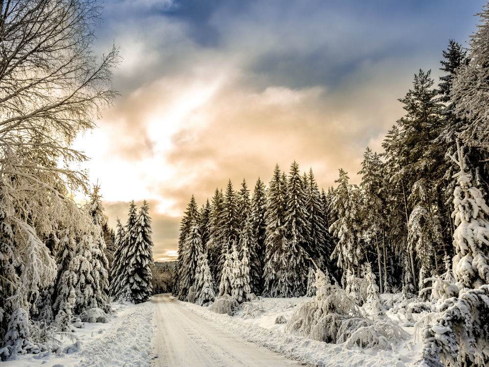 SwedishWinter