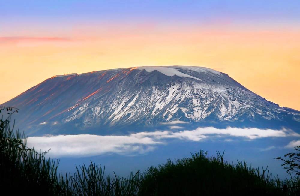 Kilimanjaro