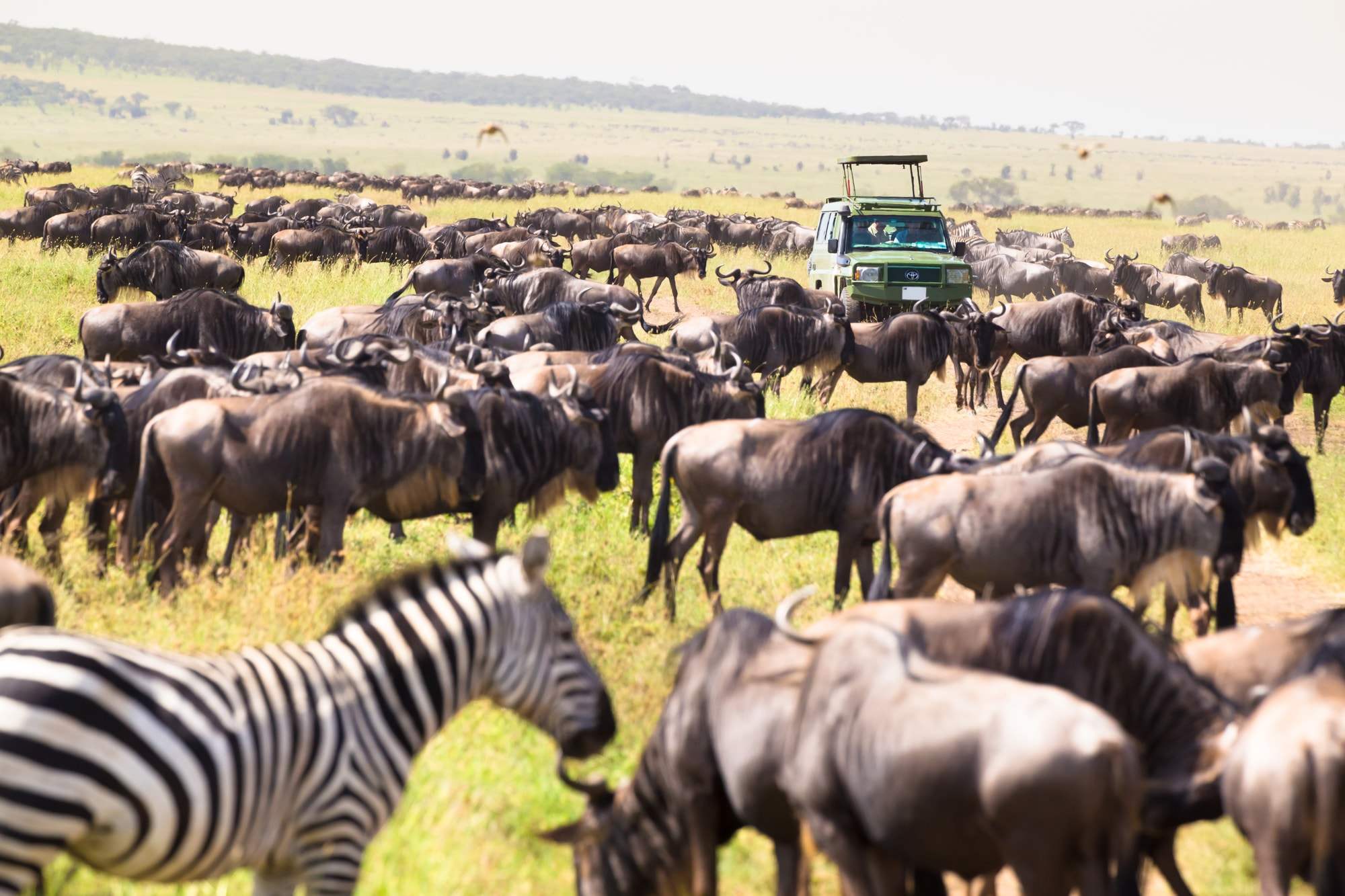 Tanzania