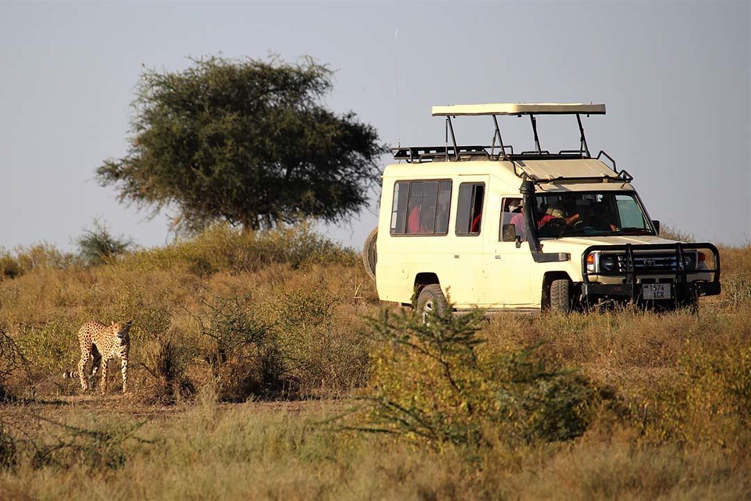 migr landrover