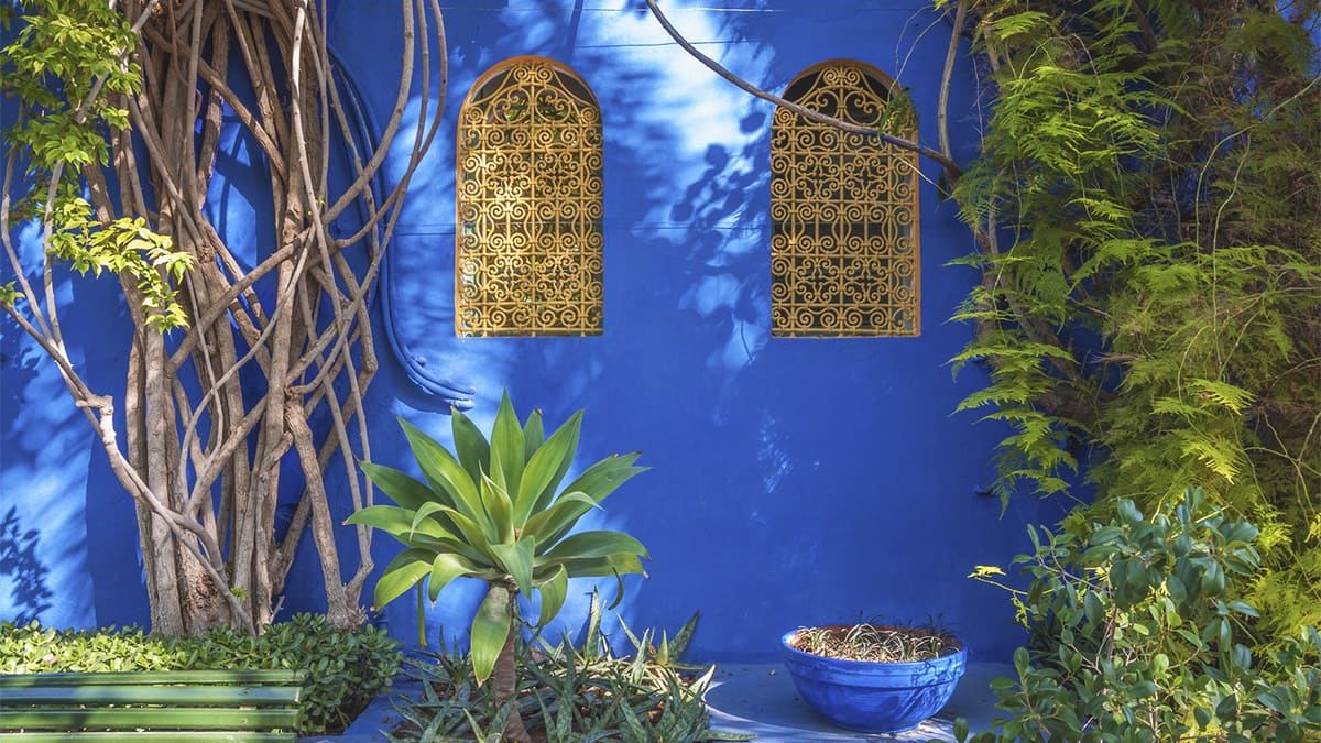 YSL house 1
